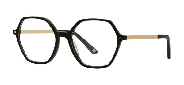 CM2058 C3 Tortoise